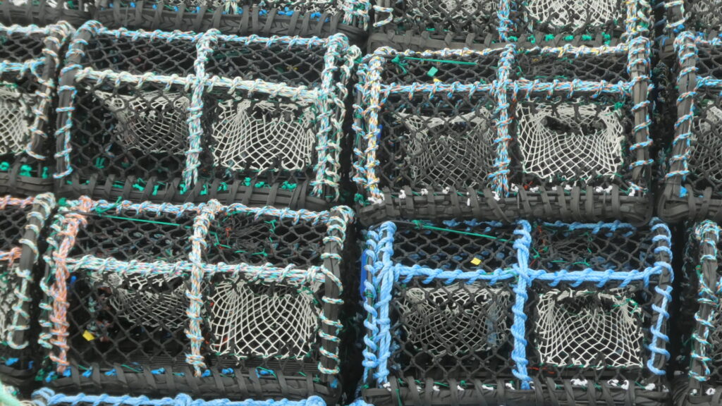 Fishing Pots - Richard