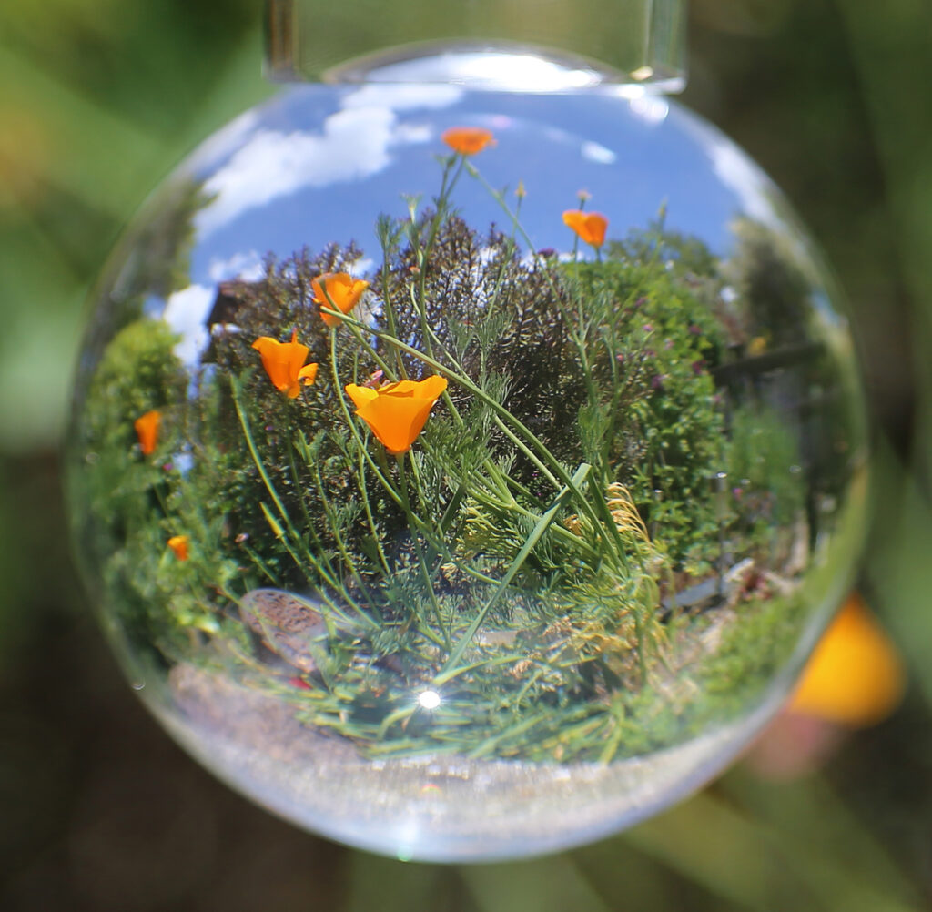 Glass Ball