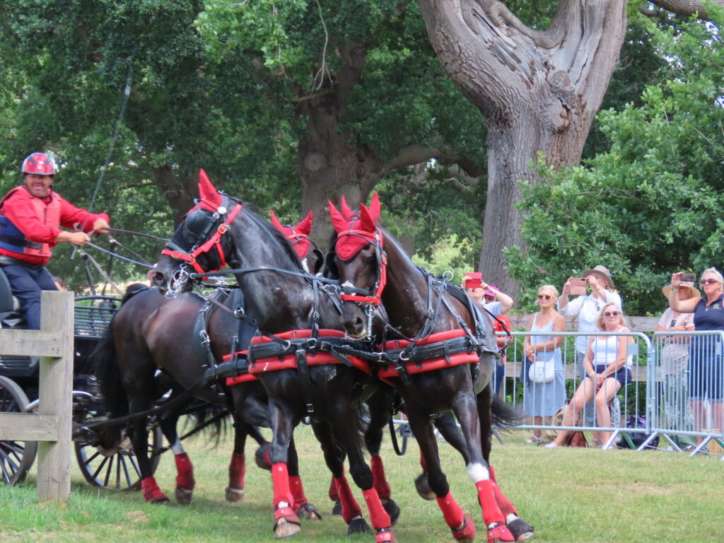 Horse Trials