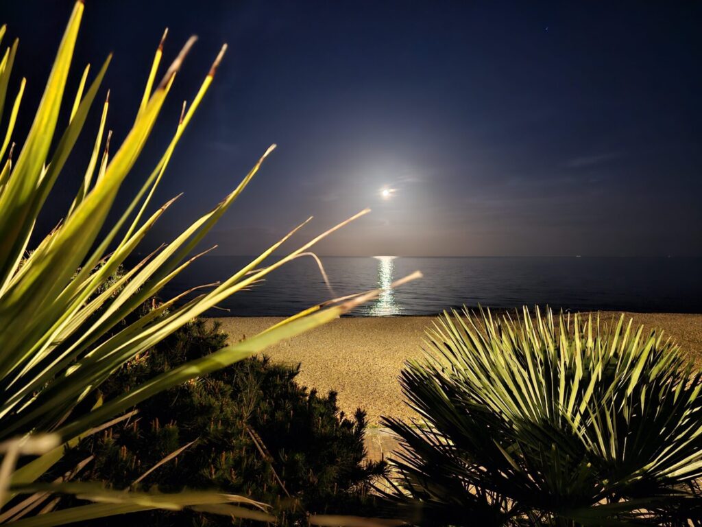 Moon Light