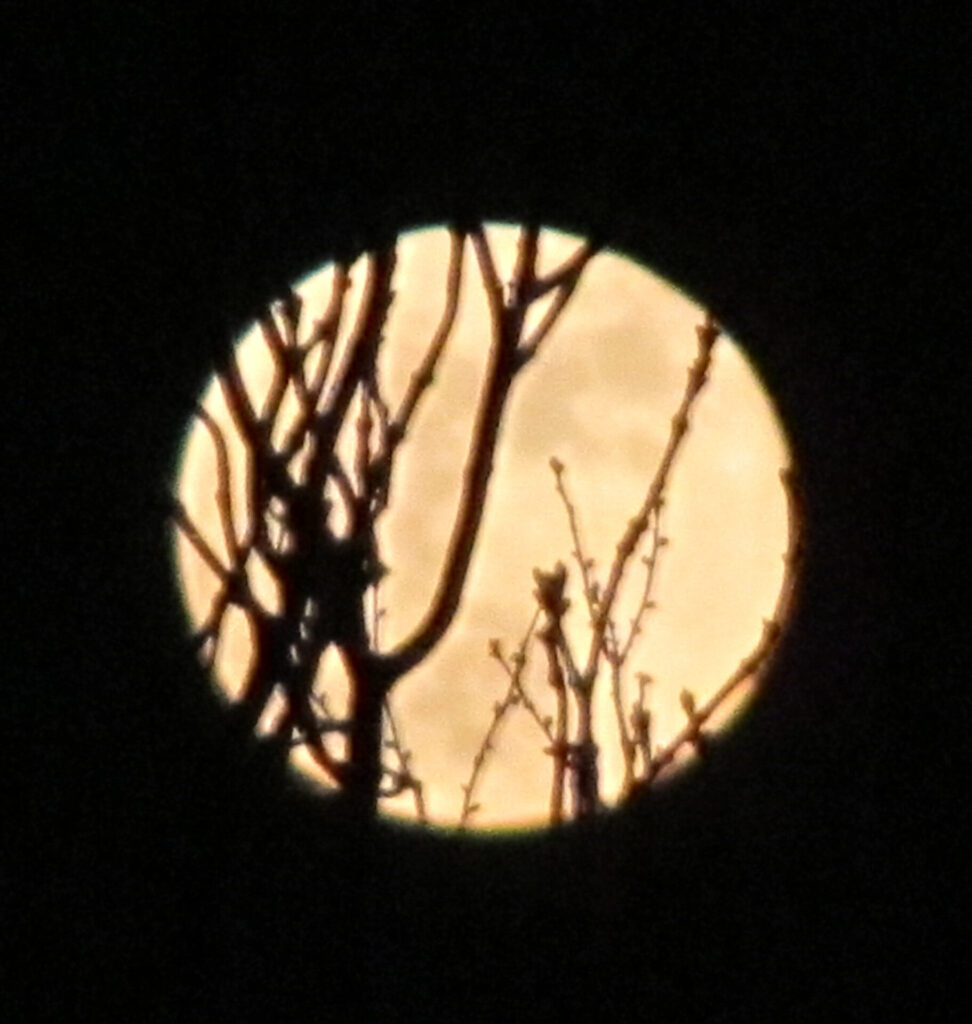 Moon