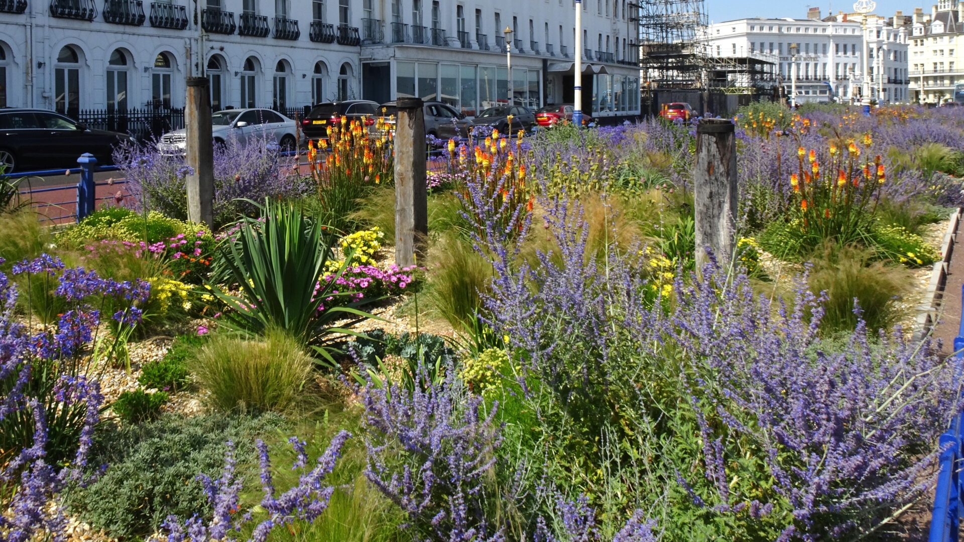 Eastbourne Carpet Garden - John Riley